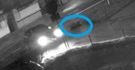 Tragedia na drodze. Nikt nie pomógł umierającemu
