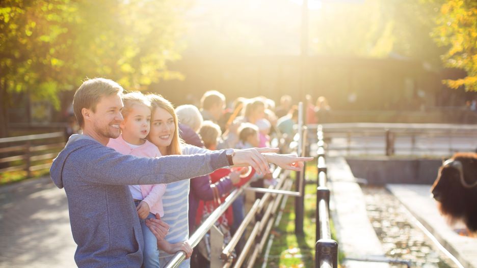 Happiness
Family with child in zoo
GrachevSergey
animals, zoo, people, child, pets, nature, children, girls, family, woman, parent, childhood, lifestyles, happiness, fence, father, cheerful, preschool, buffalo, mother, discovery, smiling, wild, human, summer, person, enjoyment, farm, curiosity, weekend, daughter, offspring, outdoors, education, wildlife, caucasian, learning, watching, spectator, finger, showing, sunlight, autumn, animals, zoo, people, child, pets, nature, children, girls, family, woman, parent, childhood, lifestyles, happiness, fence, father, cheerful, preschool, buffalo, mother, discovery, smiling, wild, human, summer, person, enjoyment, farm, curiosity, weekend, daughter, offspring, outdoors, education, wildlife, caucasian, learning, watching, spectator, finger, showing, sunlight, autumn