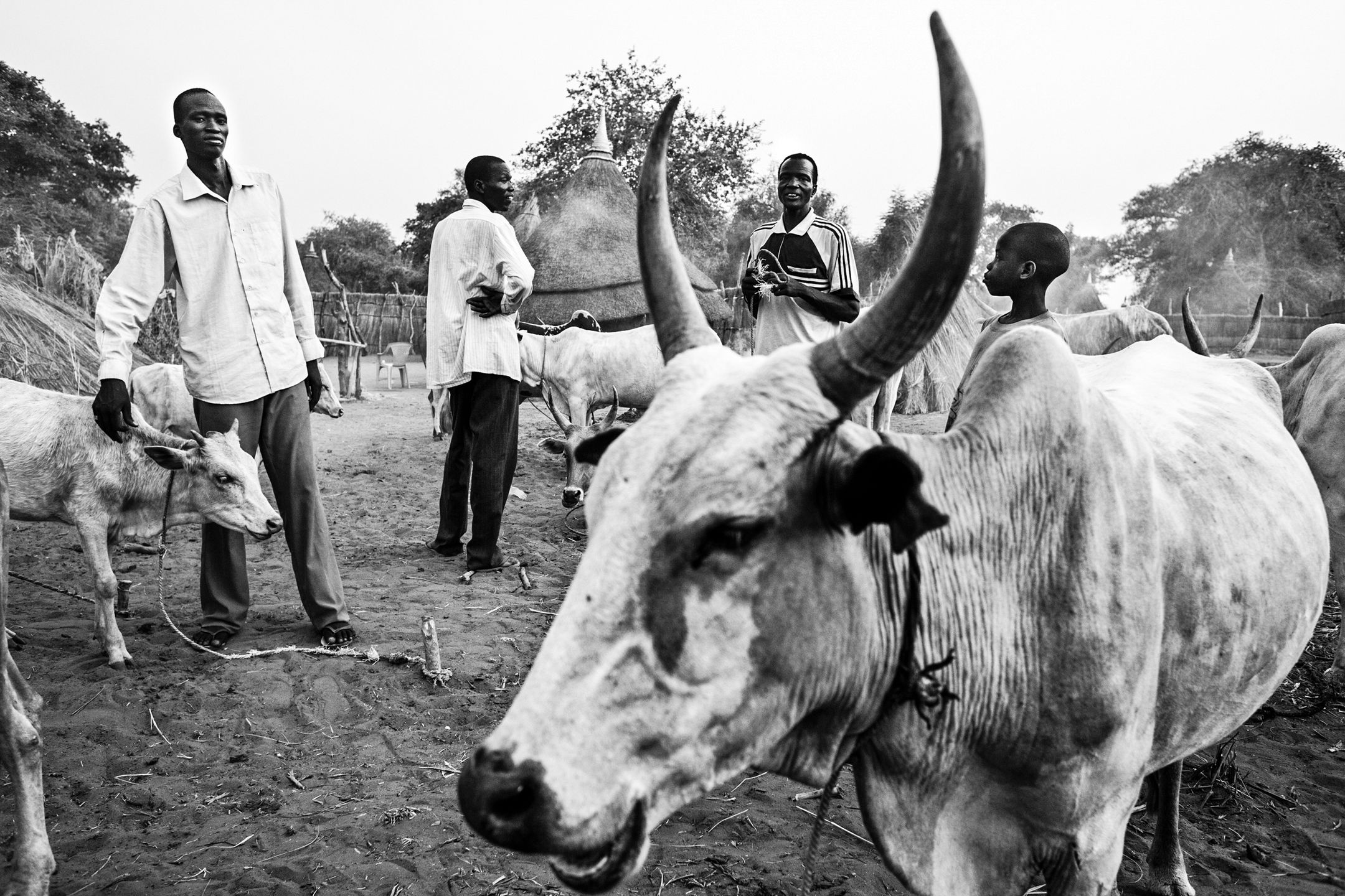 „Akcja Humanitarna", czyli Sudan Południowy w obiektywie Tomasza Woźnego 4