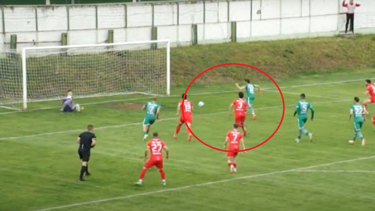 Niecodzienne pudło w Serbii