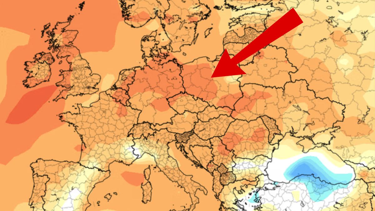 Prognoza pogody dla Polski na czerwiec.