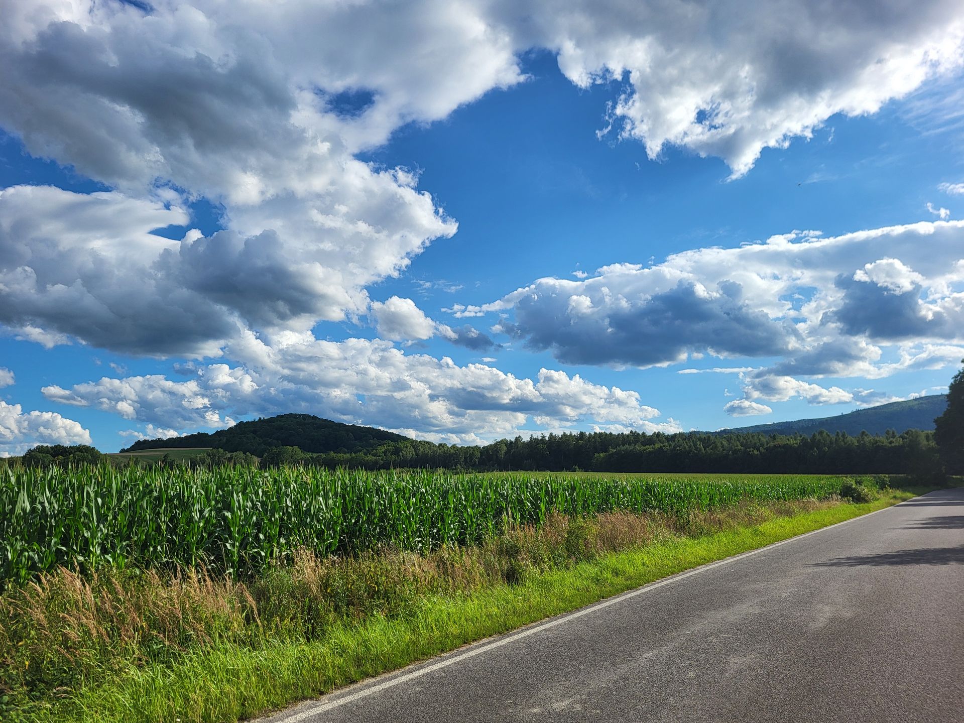 Z perspektywy rowerzysty Opolskie to kraina pustych dróg.