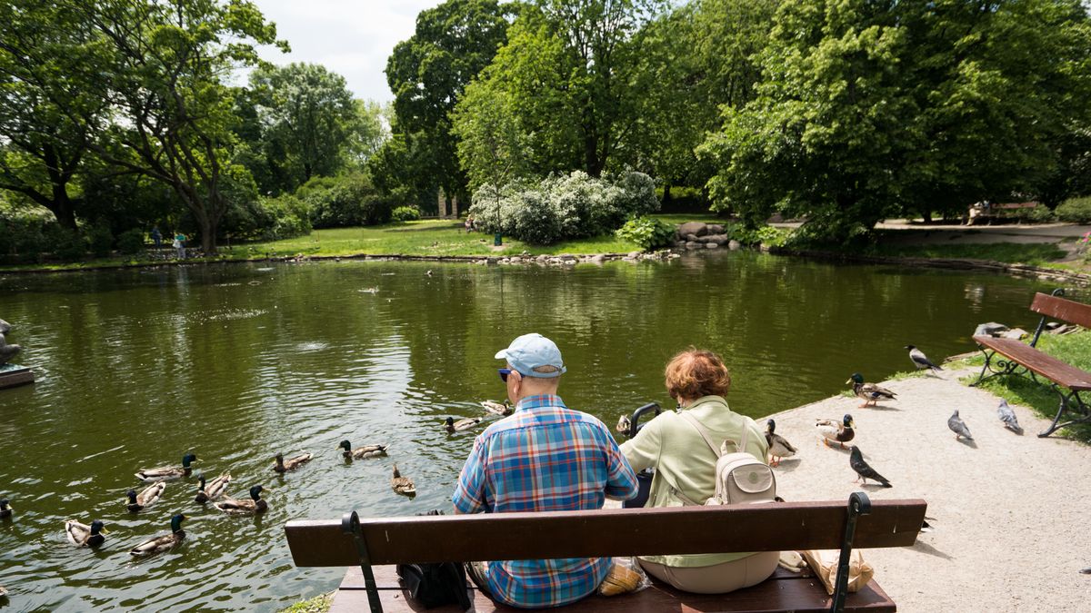 Emerytury stażowe w Nowym Ładzie?