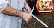 Mięso z nielegalnej ubojni trafiało do kebabów. Są pierwsze zarzuty