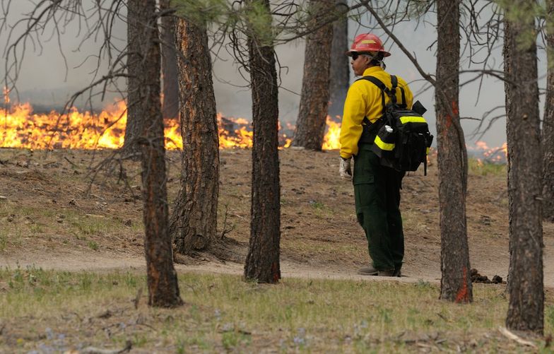Pożary lasów w USA. Dwie ofiary śmiertelne