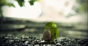 Android - najbardziej zamknięty projekt opensource'owy [infografika]