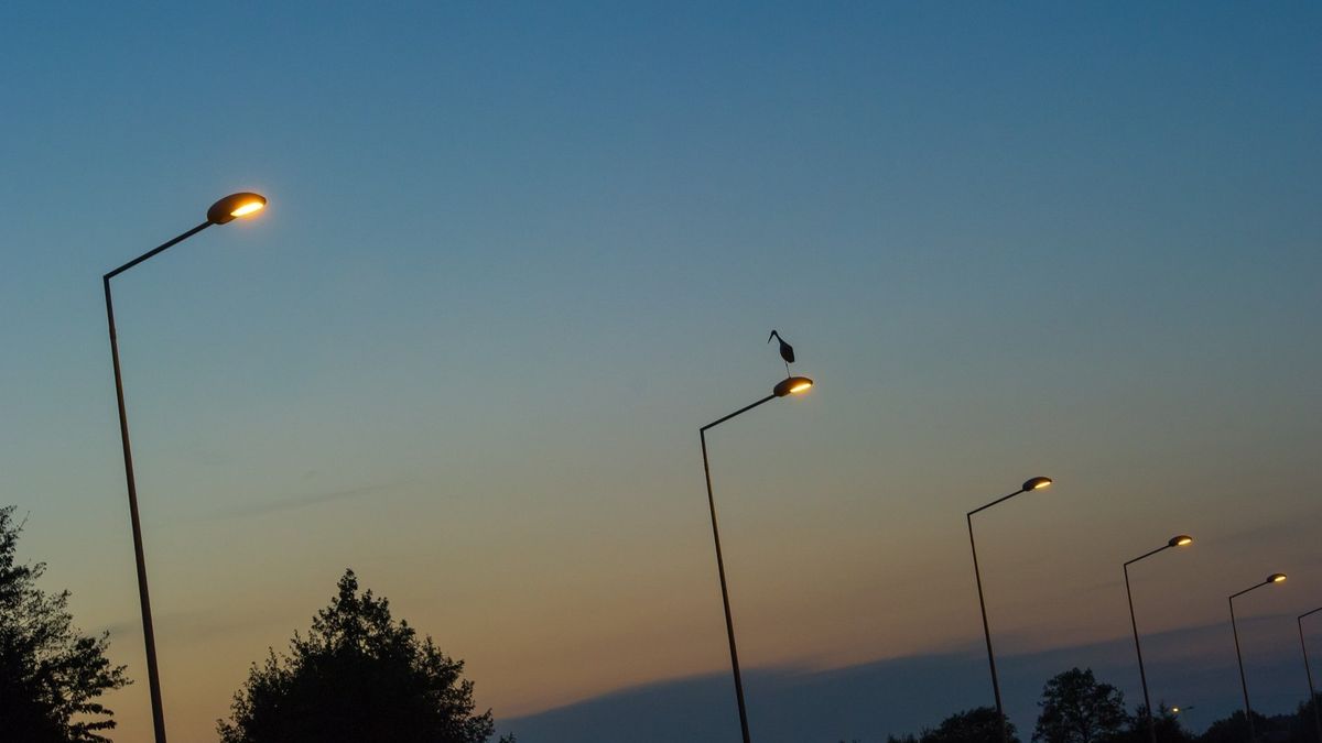 Niektóre gminy zmodernizowały lampy, zakładając oświetlenie LED.