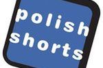 Stoisko "Polish Shorts" na festiwalu we Francji
