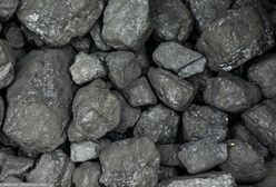 Ceny węgla w Polsce. Oto ile kosztuje tona opału na początku listopada