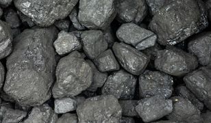 Ceny węgla w Polsce. Oto ile kosztuje tona opału na początku listopada