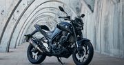 Yamaha MT-03 – cena, informacje, dane techniczne