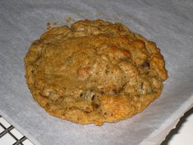 Ciastka z pokruszonych krakersów zwykłe lub z miodem (zawierają cynamon)