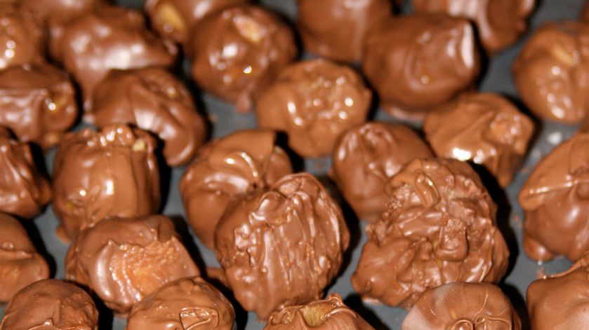 Ciastka z pokruszonych krakersów w czekoladzie