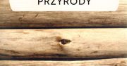 Katyń