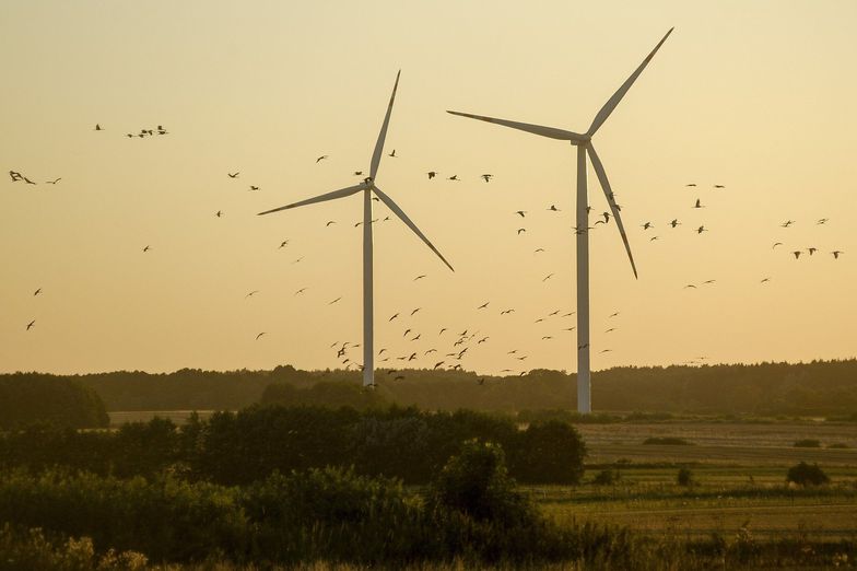 W Polsce Invenergy zainwestowała 2,2 mld zł w 11 farm wiatrowych.