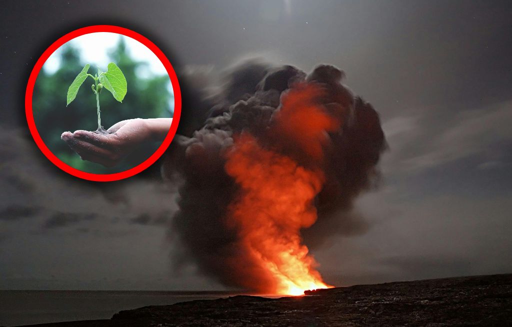 Zmiany klimatyczne a wojna. Są ze sobą powiązane