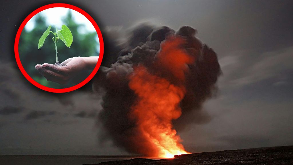 Zmiany klimatyczne i wojna są ze sobą powiązane