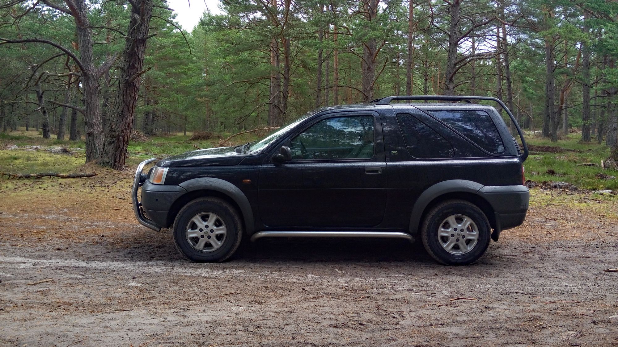 Obraz