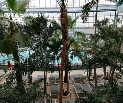 Suntago Wodny Świat. Kiedy otwarcie Park of Poland? Znamy datę