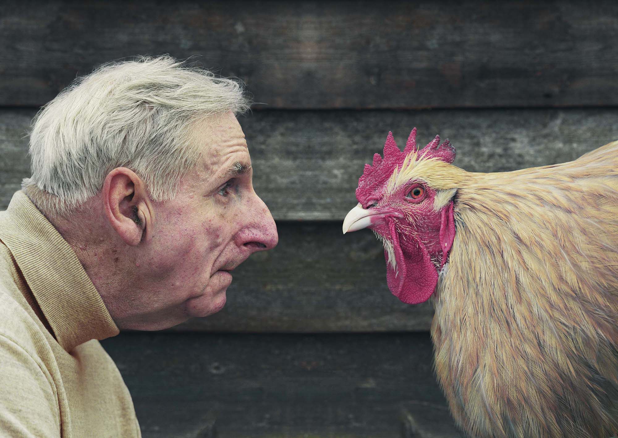 David Stewart prezentuje humorystyczny obraz Wielkiej Brytanii w swoim projekcie „Thirce Removed” 6