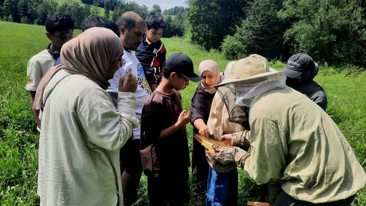 Arabowie pierwszy raz widzieli pasiekę pod Zakopanem. "Byli tym zafascynowani"
