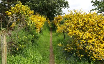 W Polsce jest zakazany. Kto nie usunie, ten się nie wypłaci