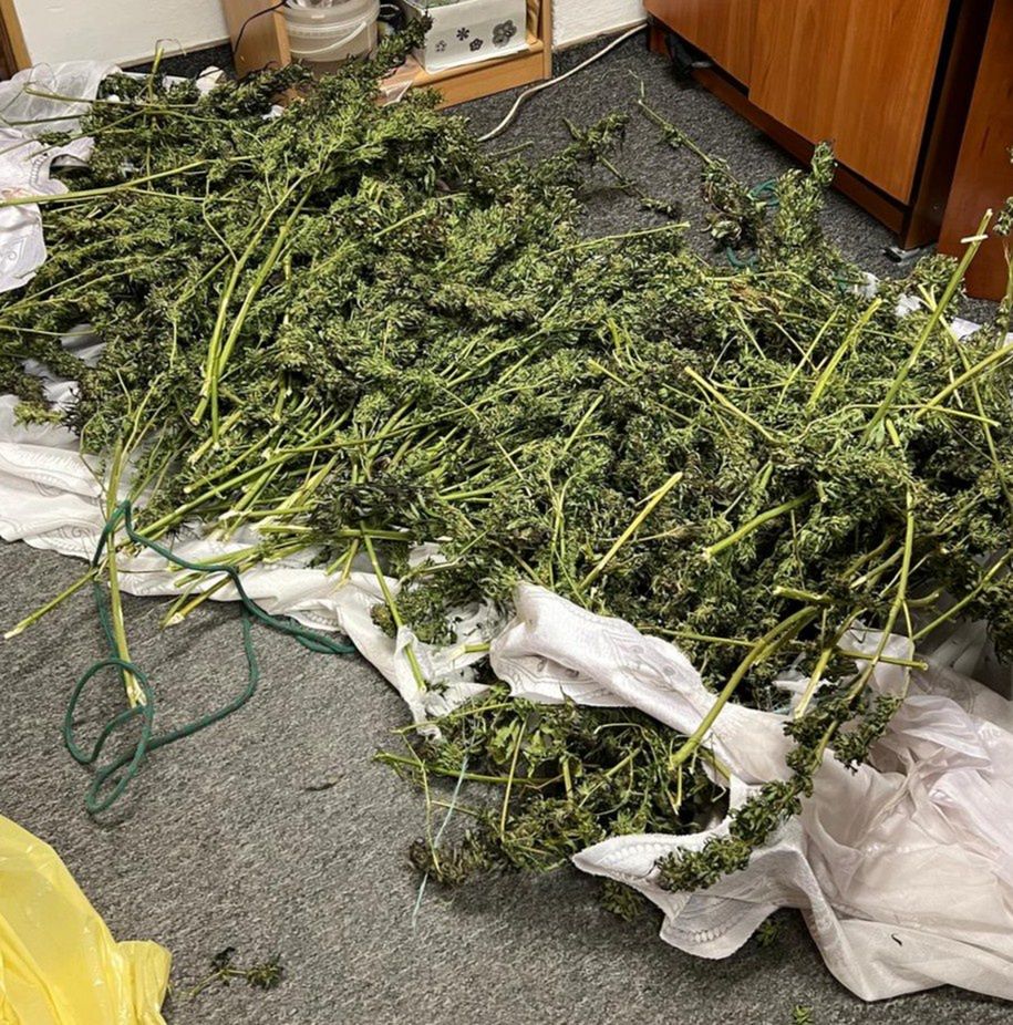 Biała Podlaska: 39-latek. Zabezpieczono sporo narkotyków