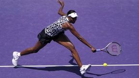 WTA Florianopolis: Łatwa robota Venus Williams, Amerykanka w II rundzie