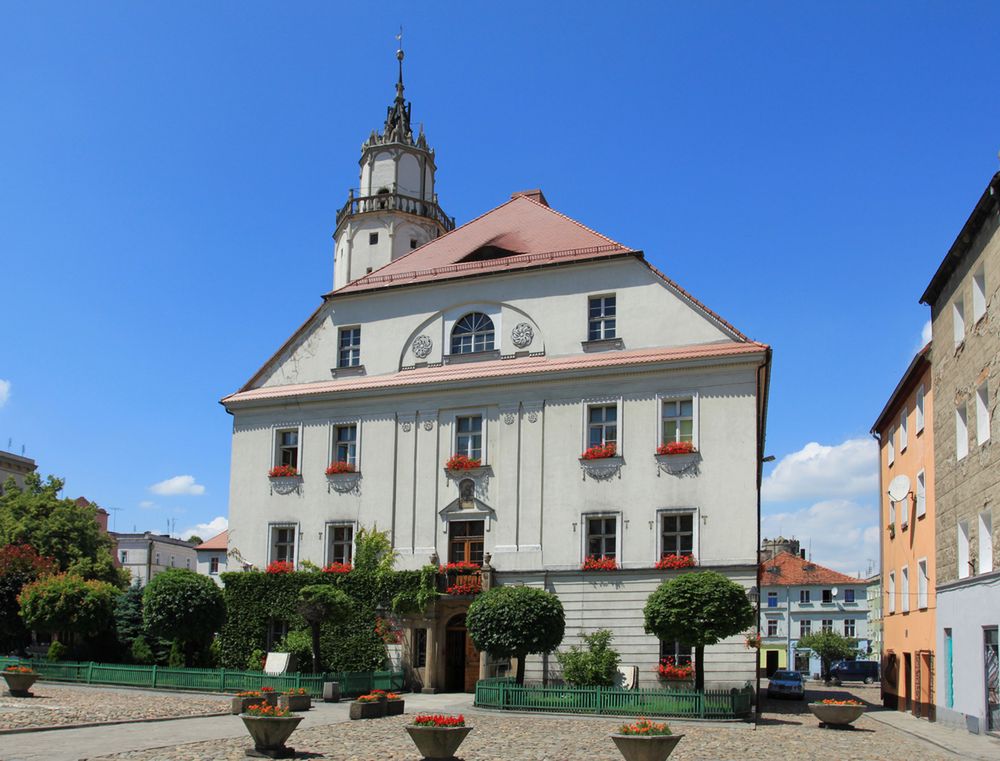 Obraz