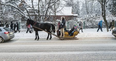 Górale mają nowy patent na wożenie turystów. "Nikogo to już nie dziwi"