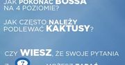 NK nawiązuje współpracę z Onet.pl