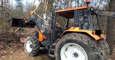 Tragiczny wypadek przy wycince drzewa. 42-latek zginął na oczach ojca