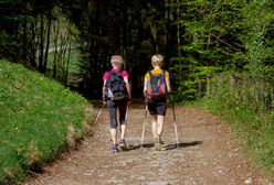 Marsz z kijkami. Różnice między trekkingiem i Nordic Walking
