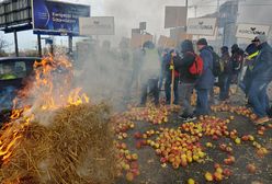 Protest rolników w Warszawie. Świńskie łby na ulicy