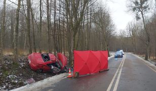 Do wypadku doszło na drodze Młynary-Elbląg. (Fot. KMP w Elblągu)