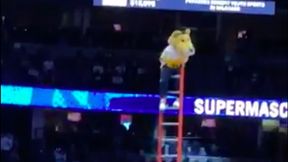 Kosmos. Maskotka w NBA zarabia fortunę