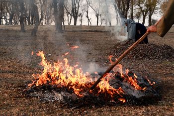 Palenie liśćmi na działce. Kary idą w tysiące złotych