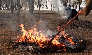 Palenie liśćmi na działce. Kary idą w tysiące złotych