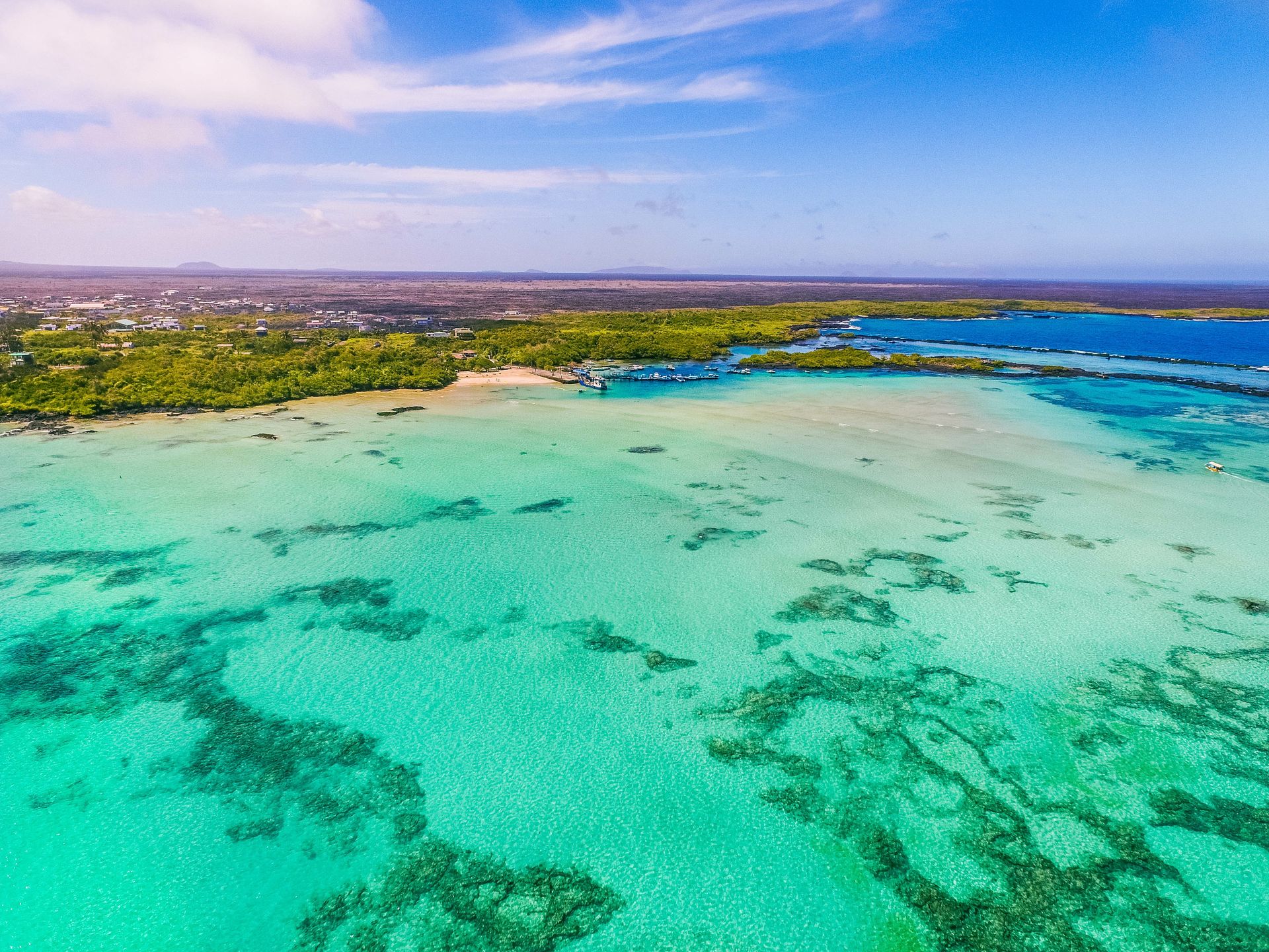 Wyspy Galapagos zachwycą każdego 