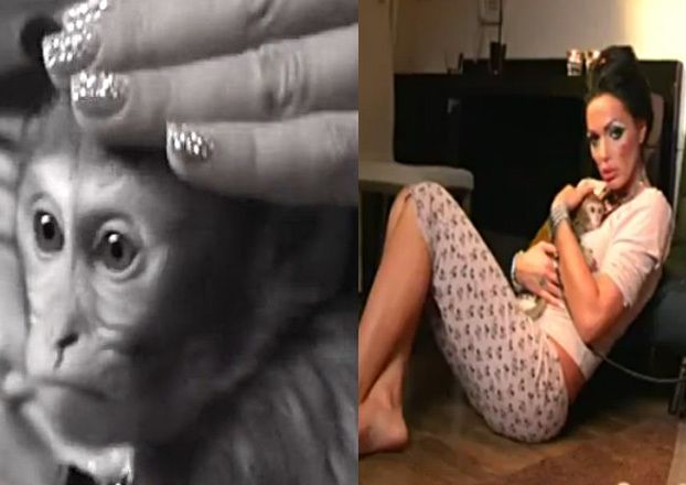 "Angelina" dręczy małpkę w nowym klipie? (WIDEO)
