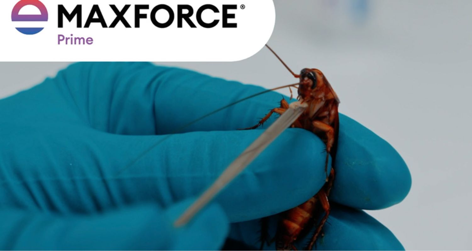 Hand Made realizuje globalną kampanię Maxforce