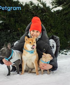 Pierwszy polski portal społecznościowy dla zwierząt