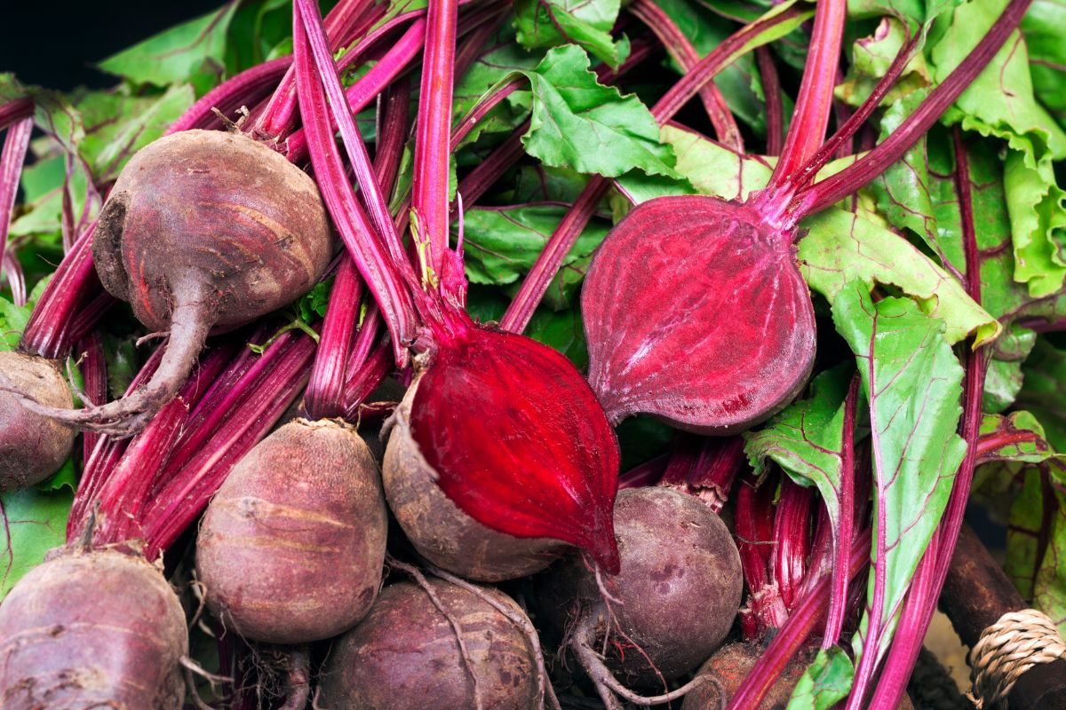 Why should you eat beets?