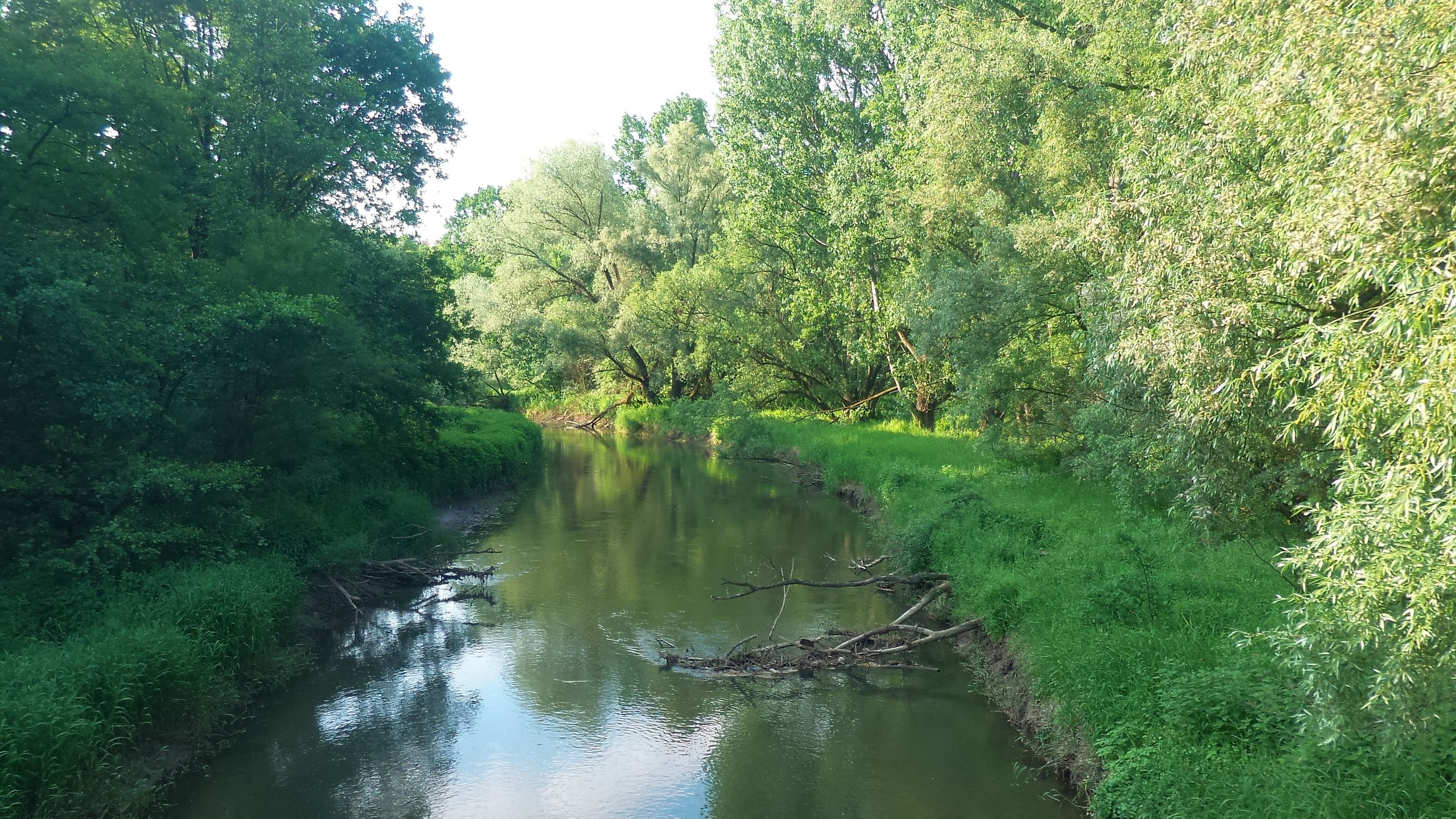 ASUS ZenFone Zoom – fotograficzny test smartfona z 3-krotnym zoomem optycznym 110