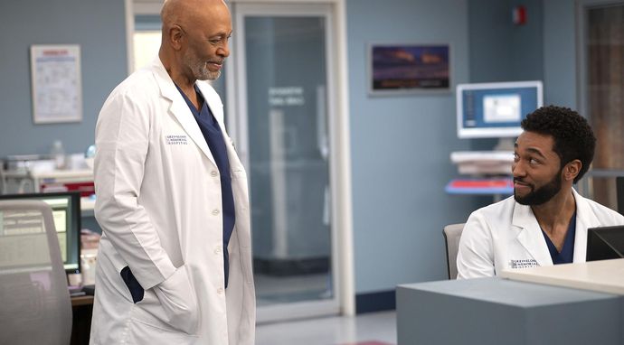 Grey's Anatomy: Chirurdzy 20