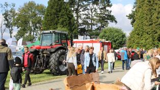Dzierżawa ziemi. Sprawdź, kto powinien zapłacić podatek rolny