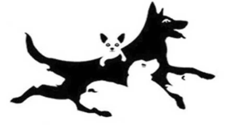 Ile psów widzisz na obrazku? Test oceni twój mentalny wiek