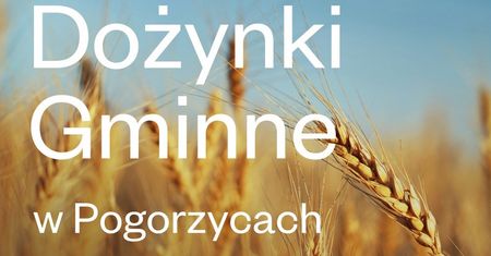 Dożynki Gminy Chrzanów 2022. Program tegorocznego święta plonów