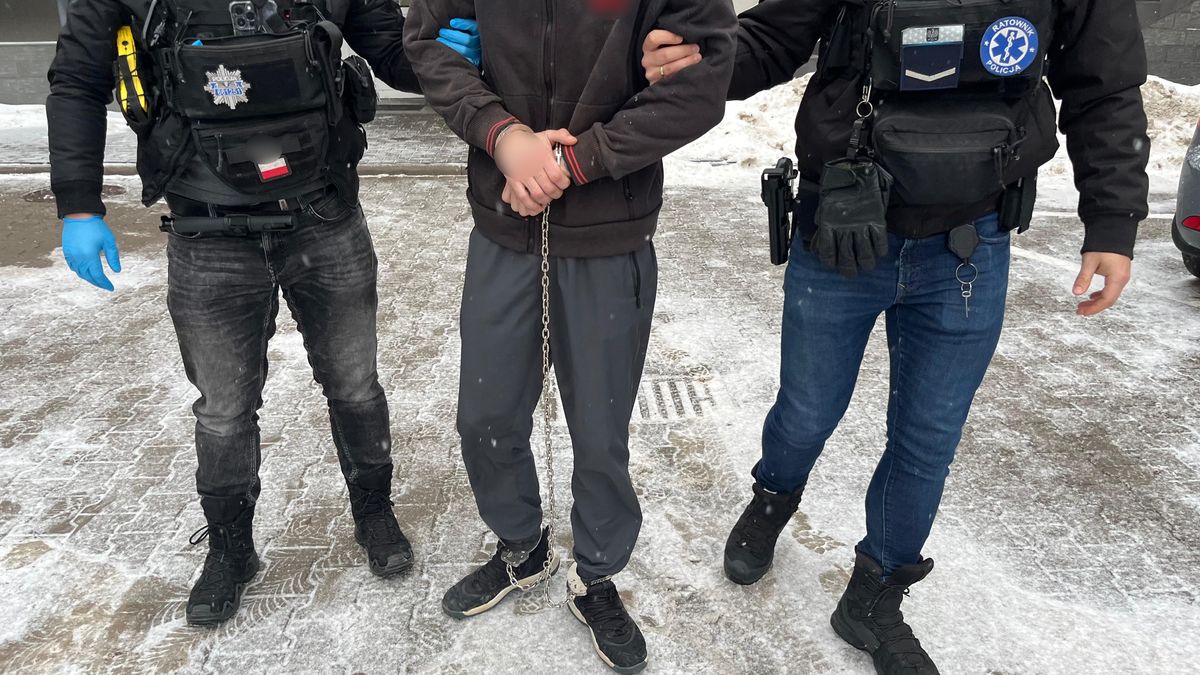 policja