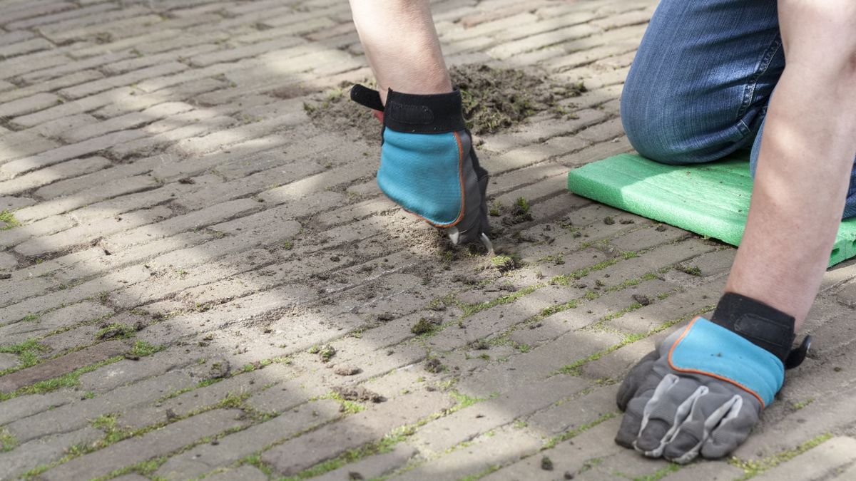 Jak walczyć z chwastami i mchem?